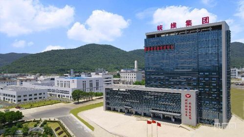 以奋进之笔谱写现代化美好巢湖建设新篇章 央广网